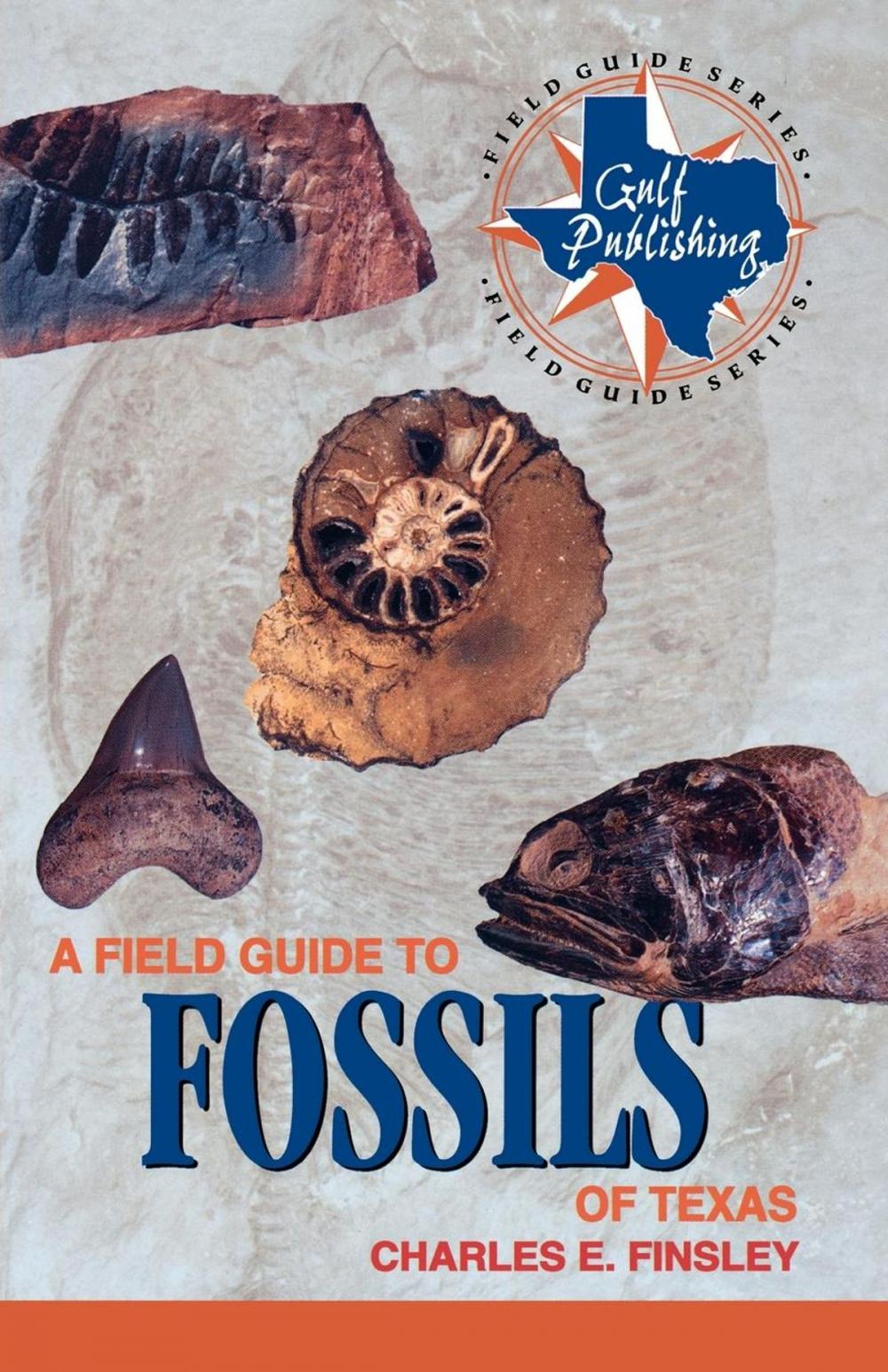 Big bigCover of A Field Guide to Fossils of Texas