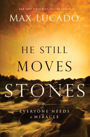 Book cover of He Still Moves Stones