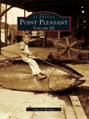 Cover of the book Point Pleasant by Ismael 