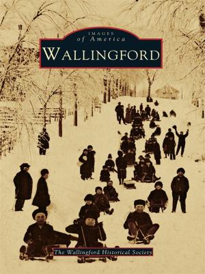 Cover of the book Wallingford by David Ira Kagan