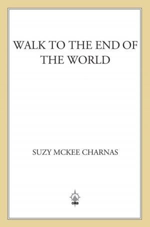 Book cover of Walk to the End of the World
