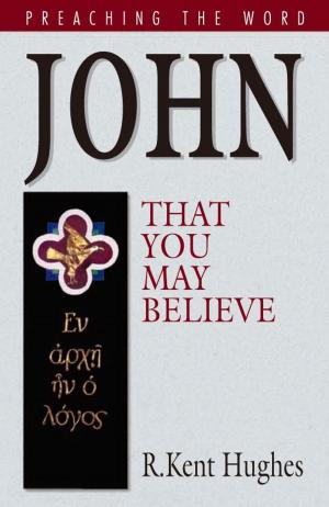 Cover of the book John: That You May Believe by John Piper