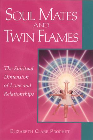 Book cover of Soul Mates and Twin Flames