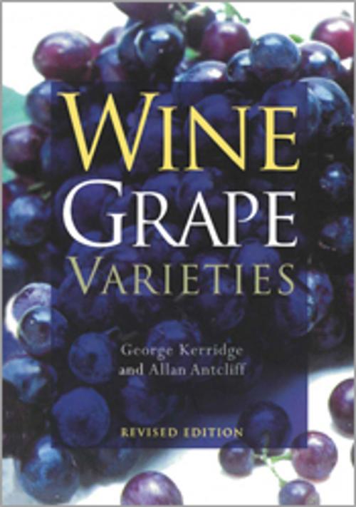 Cover of the book Wine Grape Varieties by George H Kerridge, Allan J Antcliff, CSIRO PUBLISHING