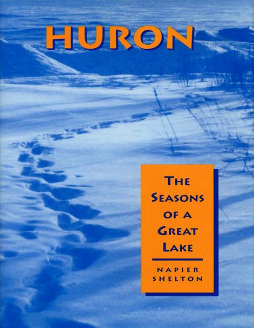 Cover of the book Huron by Napier Shelton, Wayne State University Press