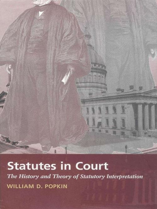 Cover of the book Statutes in Court by William D. Popkin, Duke University Press