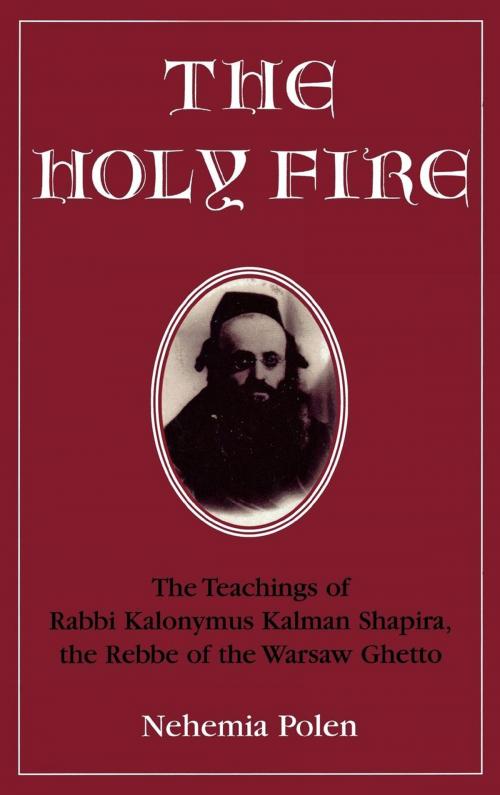 Cover of the book The Holy Fire by Nehemia Polen, Jason Aronson, Inc.