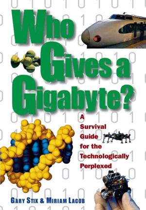 Cover of the book Who Gives a Gigabyte? by David Spero, R.N.