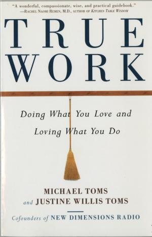 Cover of the book True Work by Paul Jeffrey Davids, Gary E. Schwartz
