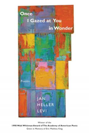 Cover of the book Once I Gazed at You in Wonder by 