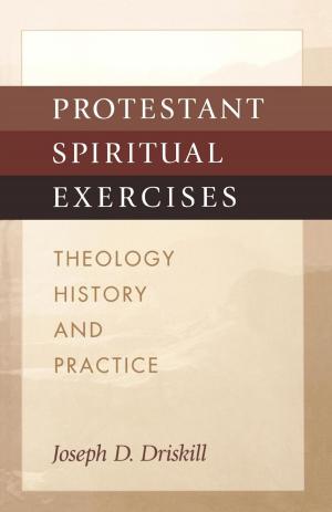 Cover of the book Protestant Spiritual Exercises by Darlene O'Dell