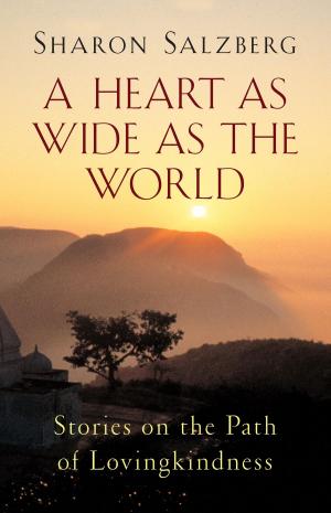 Book cover of A Heart as Wide as the World