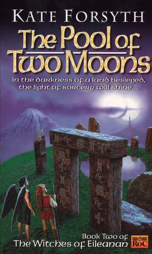 Book cover of The Pool of Two Moons