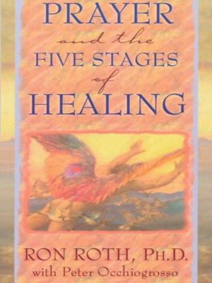Cover of the book Prayer and The Five Stages of Healing by Terah Kathryn  Collins