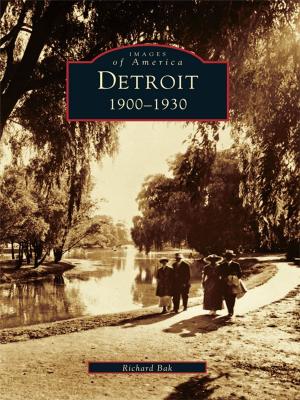Cover of the book Detroit by Robert W. Audretsch
