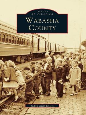 Cover of the book Wabasha County by Courtney L. Tollison PhD