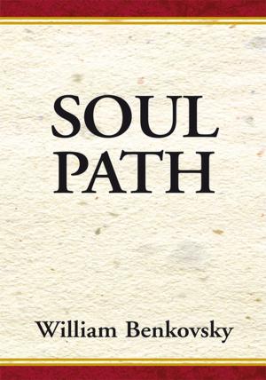 bigCover of the book Soul Path by 