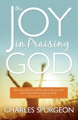 Book cover of The Joy in Praising God
