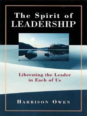 Cover of the book The Spirit of Leadership by Deborah Perry Piscione, David Crawley PhD