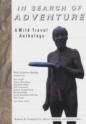 Cover of the book In Search of Adventure by Lon Milo DuQuette, Mark Stavish