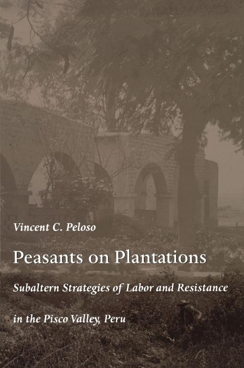 Cover of the book Peasants on Plantations by Vincent Peloso, Duke University Press