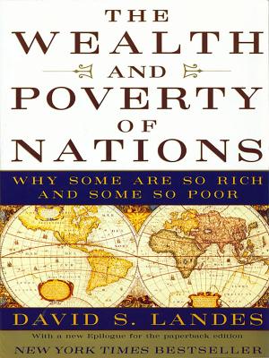 Cover of the book The Wealth and Poverty of Nations: Why Some Are So Rich and Some So Poor by Rachel Corbett