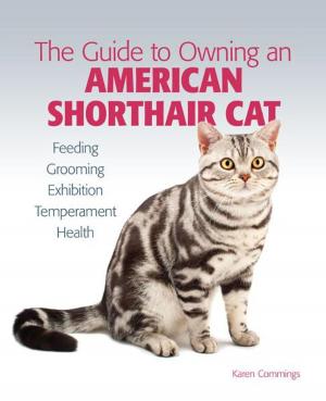 Cover of the book Guide to Owning an American Shorthair Cat by Diane Morgan