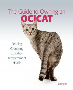 Cover of the book Guide to Owning an Ocicat by E.J. Pirog