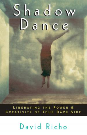 Book cover of Shadow Dance