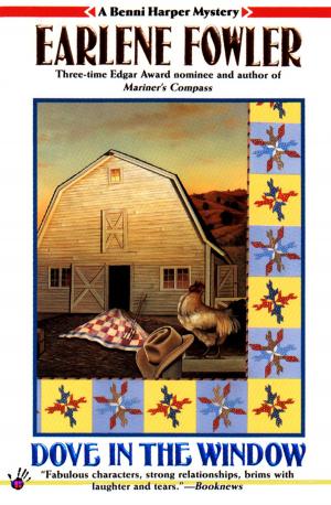Cover of the book Dove in the Window by Jeanne Glidewell