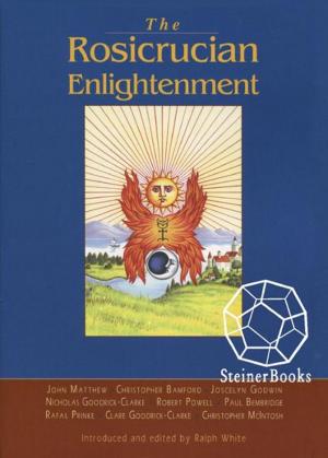 Cover of the book Rosicrucian Enlightenment Revisited by Rudolf Steiner, David Booth