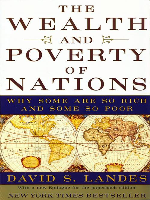 Cover of the book The Wealth and Poverty of Nations: Why Some Are So Rich and Some So Poor by David S. Landes, W. W. Norton & Company