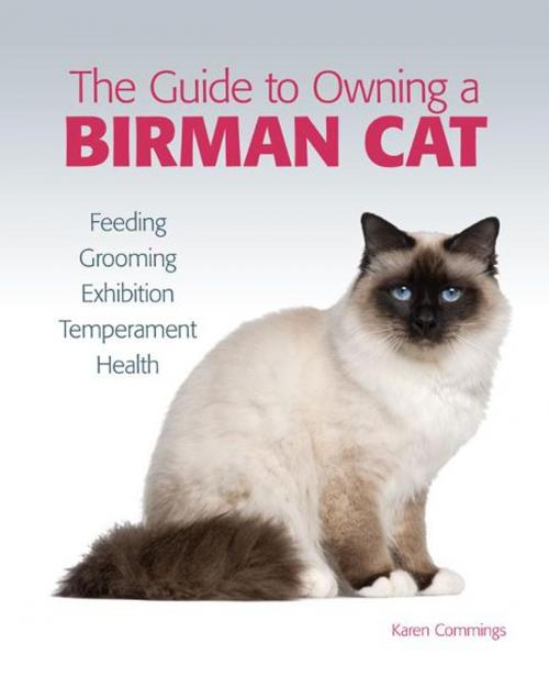 Cover of the book Guide to Owning a Birman Cat by Karen Commings, TFH Publications, Inc.