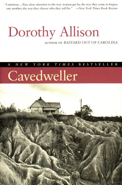 Cover of the book Cavedweller by Dorothy Allison, Penguin Publishing Group