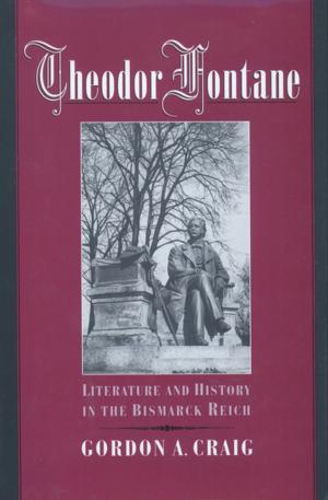 Cover of the book Theodor Fontane by Sanjeev Bhalla, Cylen Javidan-Nejad, Kristopher W. Cummings, Andrew J. Bierhals