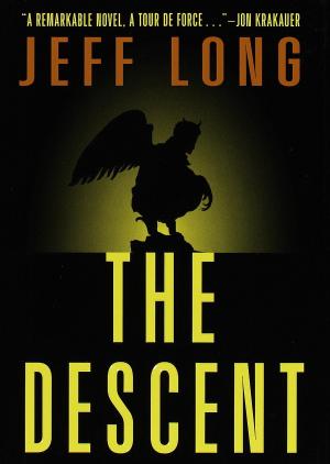 Cover of the book The Descent by Kristine Roper