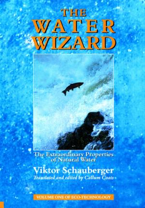 Cover of the book The Water Wizard – The Extraordinary Properties of Natural Water by Jenny McCudden