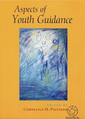 Cover of the book Aspects of Youth Guidance by Robert Sardello