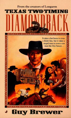 Cover of the book Diamondback 02: Texas Two-Timing by Wesley Ellis