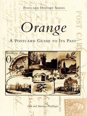 Cover of the book Orange by Carley Wiggins