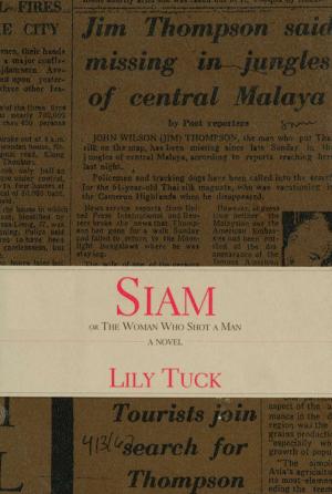 Cover of the book Siam by John Hendrix