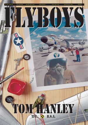 Cover of the book Flyboys by Sylva Kelegian