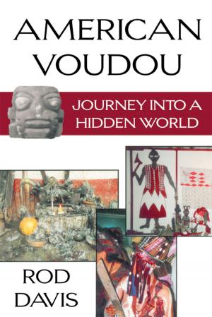 Cover of the book American Voudou by Christina T. Halperin