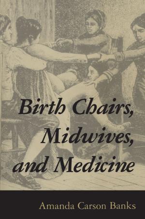 Cover of the book Birth Chairs, Midwives, and Medicine by James Nolan