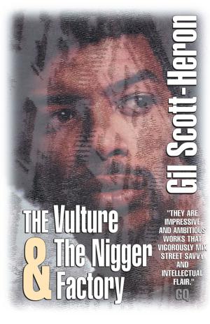 Book cover of The Vulture & The Nigger Factory