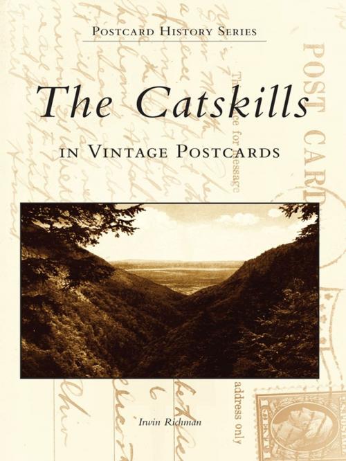 Cover of the book The Catskills in Vintage Postcards by Irwin Richman, Arcadia Publishing Inc.