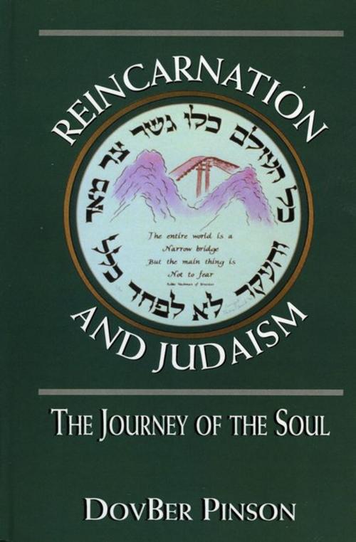 Cover of the book Reincarnation and Judaism by DovBer Pinson, Jason Aronson, Inc.