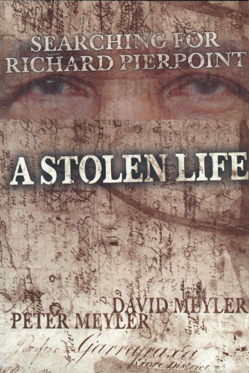 Cover of the book A Stolen Life by David Meyler, Peter Meyler, Dundurn