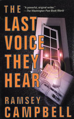 Cover of the book The Last Voice They Hear by L. E. Modesitt Jr.