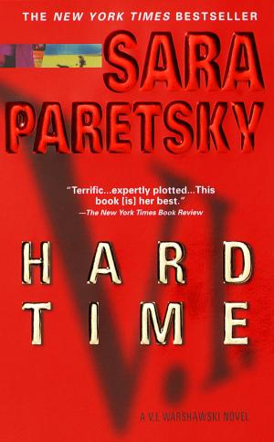 Cover of the book Hard Time by Anne Perry